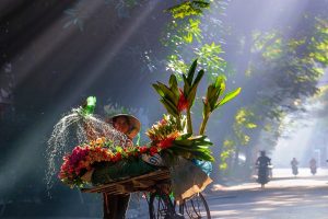 Flower Vender Hanoi