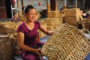 vna potal an unusual weaving material water hyacinth stand