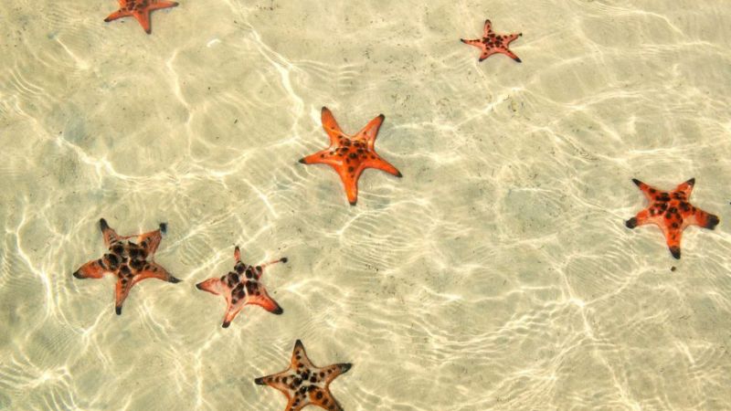 Snorkel and unwind at Hon Mong Tay—Phu Quoc’s hidden July gem