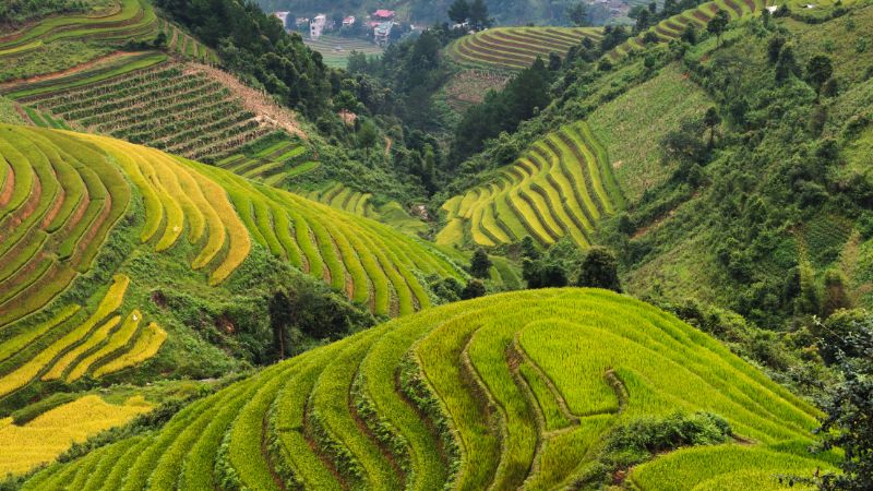 From Ho Chi Minh to Sapa: Your Epic Journey from Southern Metropolis to Northern Highland Paradise! 3 Ho Chi Minh to Sapa reveals Vietnam’s stunning geographic contrasts