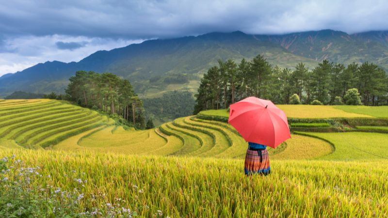 From Ho Chi Minh to Sapa: Your Epic Journey from Southern Metropolis to Northern Highland Paradise! 6 Smart prep makes the journey smoother and more memorable