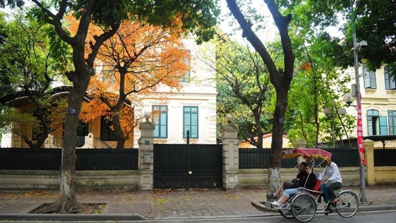 Hoi An attractions - A must-visit travel destination 7 Busy lantern-lit Tran Phu Street full of cafes, shops, and visitors